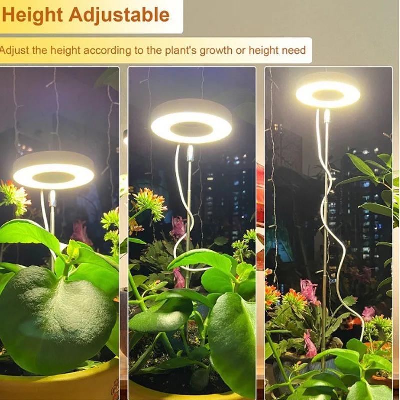Luces de cultivo para plantas  - Smart Garden Indoor reseña y precio