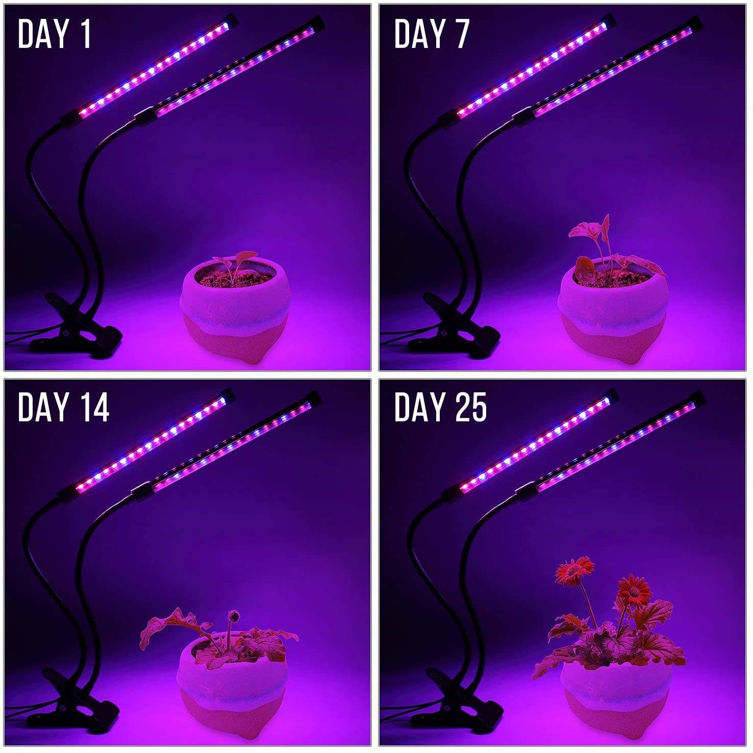 Luz LED USB para cultivo de pl - Smart Garden Indoor reseña y precio
