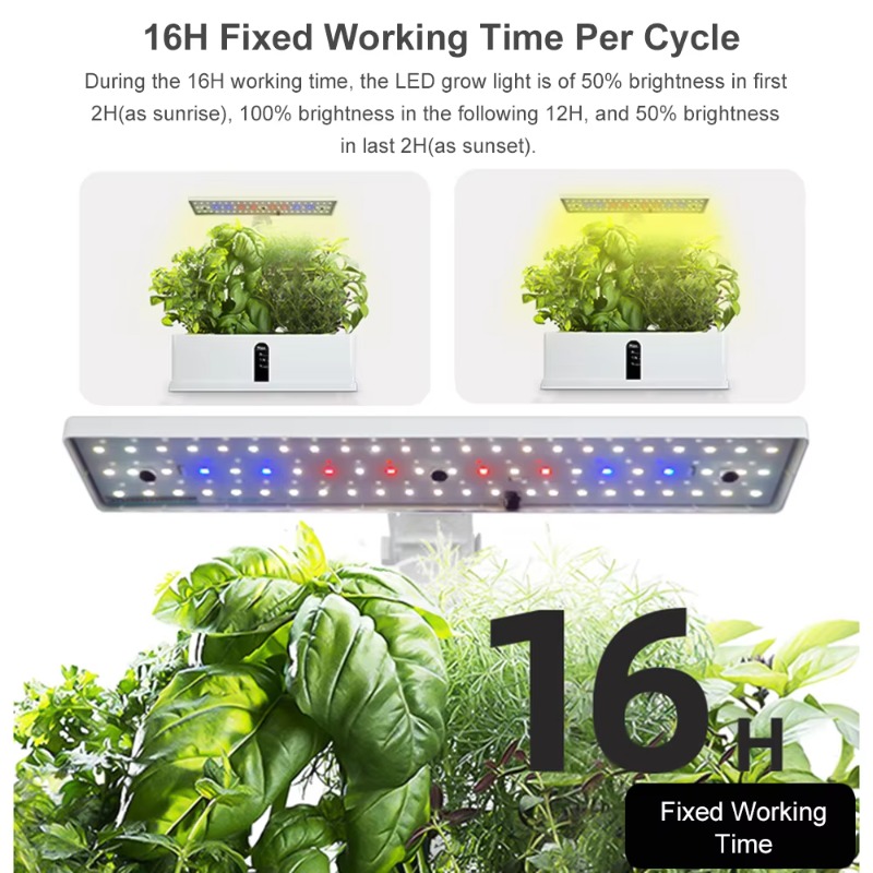 Sistema de Cultivo Hidropónico - Smart Garden System reseña y precio