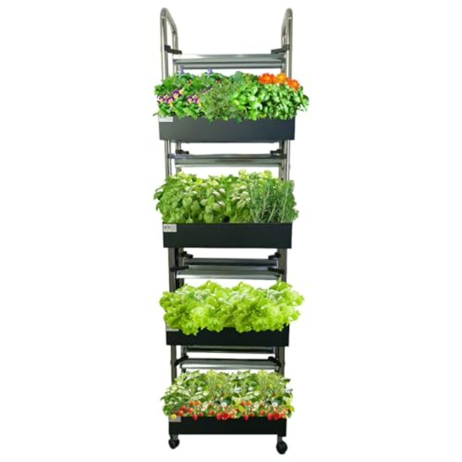 Sistema de cultivo hidropónico - Smart Garden System reseña y precio