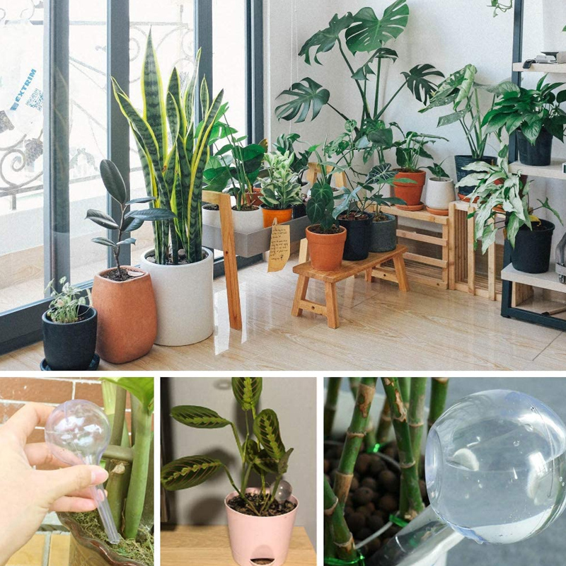 Bombillas de riego automático  - Smart Garden Technology reseña y precio